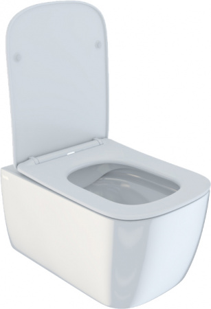 ������ ��������� IDDIS Bridge BRIRDSEi25 ������� � �����������