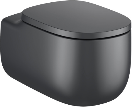 ������ ��������� Roca Beyond 3460B7640 onix