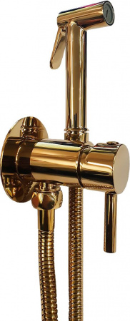 ������������� ��� Paffoni Tweet Round ZDUP110HG �� ����������, � ���������� ������