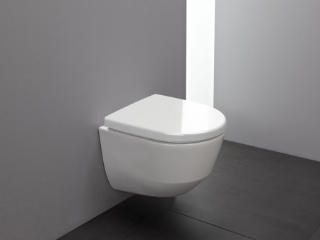 Унитаз подвесной Laufen Pro Rimless 8.2096.5.000.000.1 укороченный Унитаз подвесной Laufen Pro Rimless 8.2096.5.000.000.1 укороченный