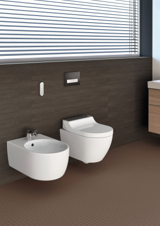 ������ ��������� Geberit AquaClean Tuma Comfort 146.294.SJ.1 ������� ������ ������