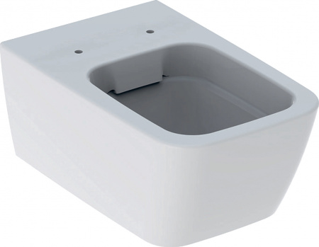 ��������  ���� ��� ������� ���������� Geberit iCon Square 201950000 + ������-������� Geberit iCon Square + ������� ����������� ��� �������� Geberit Duofix ���������� 458.125.21.1