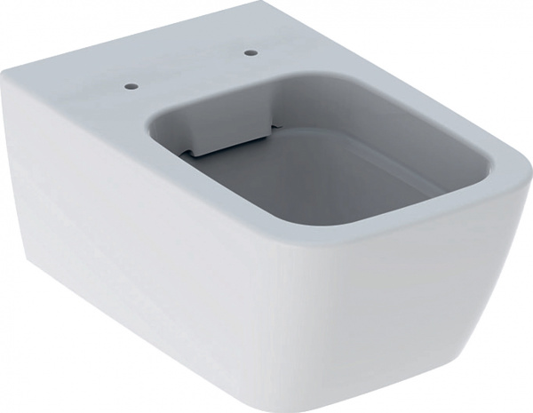 ��������  ���� ��� ������� ���������� Geberit iCon Square 201950000 + ������-������� Geberit iCon Square + ������� ����������� ��� �������� Geberit Duofix ���������� 458.125.21.1