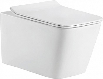 ������ ��������� Bravat Manno C21201UW-RUS ������� � �����������