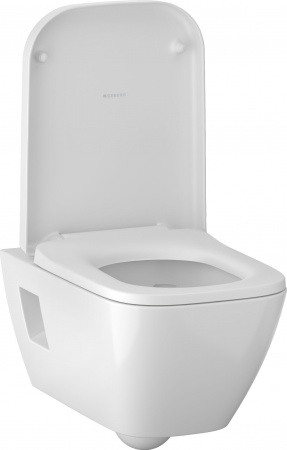 ������ ��������� Geberit Renova Plan