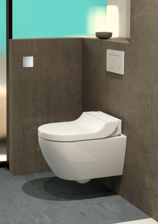 ������ ��������� Geberit AquaClean Tuma Comfort 146.294.11.1 ���������� �����