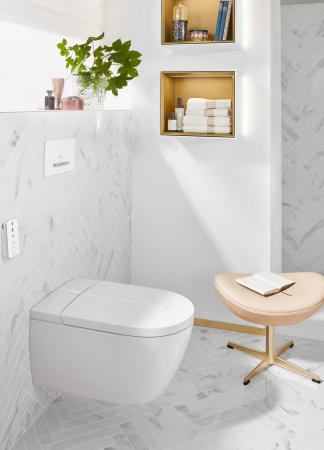 ������ ��������� Villeroy & Boch Viclean V0E100R1 ���������� �����, � �������� ����