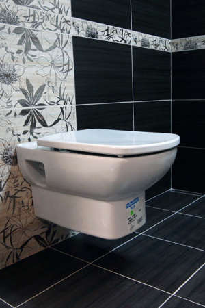 �������� Roca Dama senso ��������� ������ + ����������� + ������