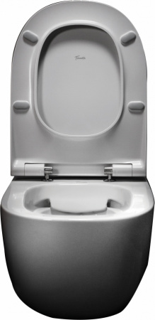 ��������  ������ ��������� Pestan Fluenta Rimless 40006661 ������������ + ������� ����������� ��� �������� Pestan + 40006357