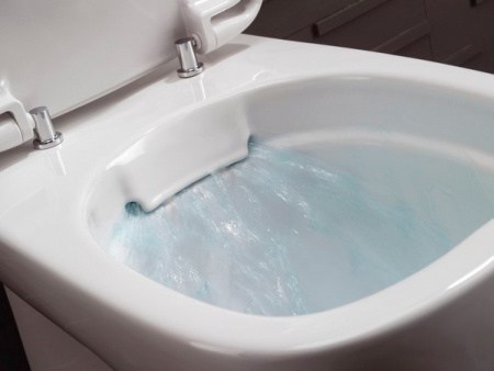 ��������  ������� ����������� ��� �������� Roca DUPLO WC 890090020 + ������ ����� Roca PL1 Dual ���� + ������-������� Roca Gap 801472004 � �����������