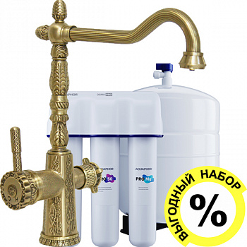  Zorg Antic A 53 KF-BR        PRO 50