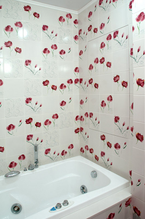 ��� ��������� ����� � 90x50