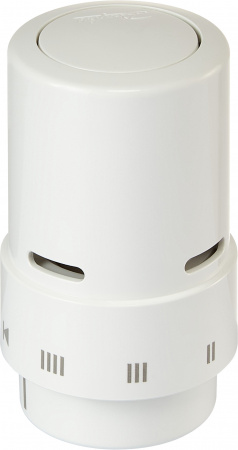  Royal Thermo Design Click 