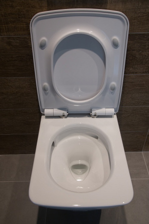 Унитаз подвесной Toto SP CW532Y с микролифтом Унитаз подвесной Toto SP CW532Y с микролифтом