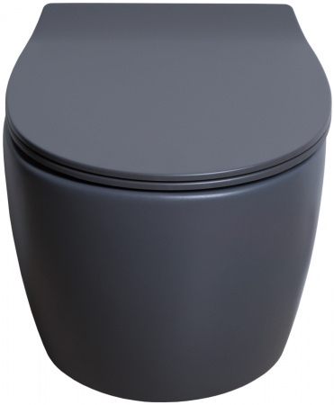 Унитаз подвесной Allen Brau Fantasy 4.11004.AN антрацит Унитаз подвесной Allen Brau Fantasy 4.11004.AN антрацит