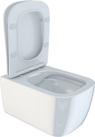 ������ ��������� IDDIS Bridge BRIRDSEi25 ������� � �����������