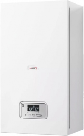   Protherm RAY () 21 KE /14