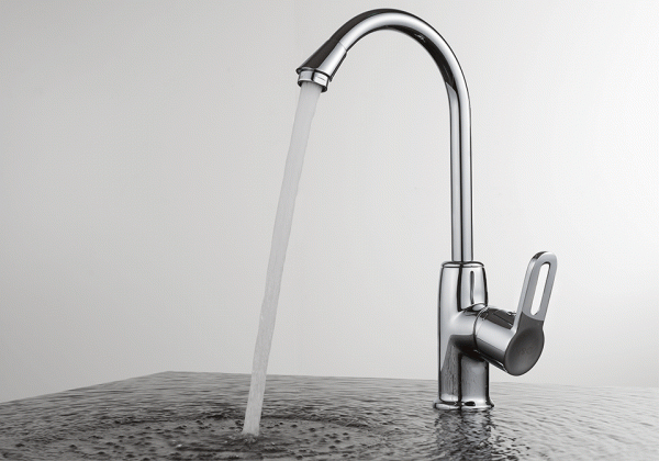  D&K Paulinus Rhein DA1352401   