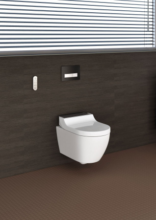 ������ ��������� Geberit AquaClean Tuma Comfort 146.294.SJ.1 ������� ������ ������
