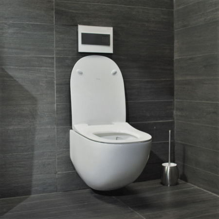 Унитаз подвесной Pestan Fluenta Rimless 40006661 безободковый Унитаз подвесной Pestan Fluenta Rimless 40006661 безободковый