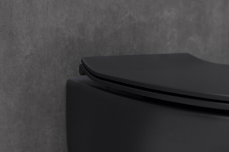 Унитаз подвесной Allen Brau Fantasy 4.11004.31 черный матовый Унитаз подвесной Allen Brau Fantasy 4.11004.31 черный матовый