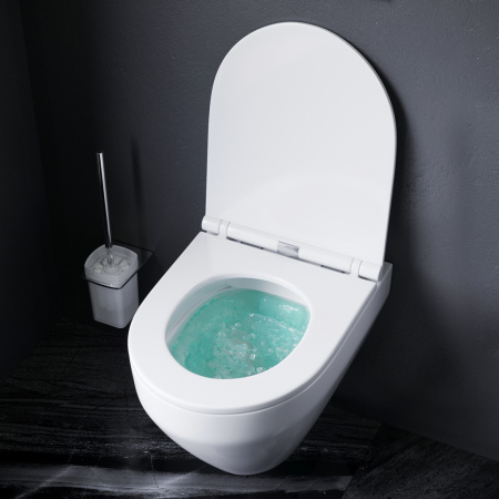 ������ ��������� AM.PM Spirit V2.0 FlashClean + ���������� AM.PM �� 30 ���� �������� �� �����������