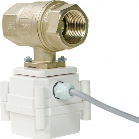 ���� Gidrolock Ultimate Bonomi 220V 1"