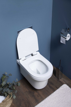 ������ ��������� Aquanet Nova-W Rimless Soft Close-SLIMSEAT