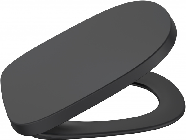 �������� ������ ��������� Roca Beyond 3460B7640 onix � �������-�������� + ������� ����������� ��� �������� Roca DUPLO WC 890090020