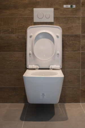 Унитаз подвесной Toto SP CW532Y с микролифтом Унитаз подвесной Toto SP CW532Y с микролифтом