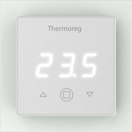  Thermo Thermoreg TI 300