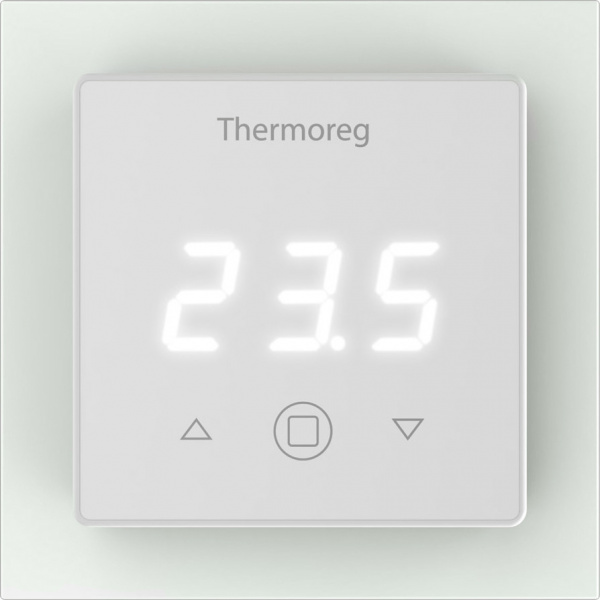  Thermo Thermoreg TI 300