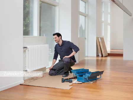 �������� �������� Zehnder Charleston Completto 2050/30 2-� ���������, ����������� 223