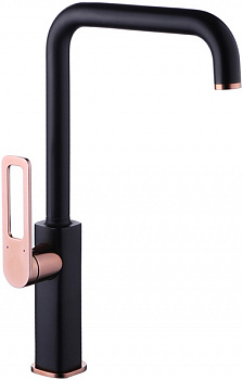  IDDIS Slide SLIBG00i05   