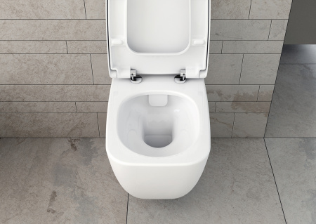 ��������  ������� ����������� ��� �������� Geberit Duofix Delta 458.124.21.1 3 � 1 � ������� ����� + ���� ��� ������� ���������� VitrA Shift + ������-������� VitrA Shift 91-003-009 � �����������