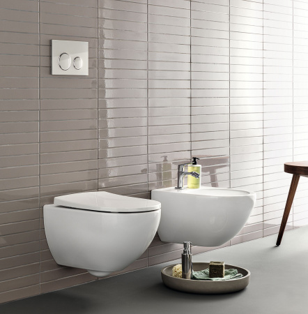 �������� Geberit Acanto ������ + ����������� + ������-�������