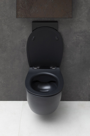 Унитаз подвесной Allen Brau Fantasy 4.11004.31 черный матовый Унитаз подвесной Allen Brau Fantasy 4.11004.31 черный матовый