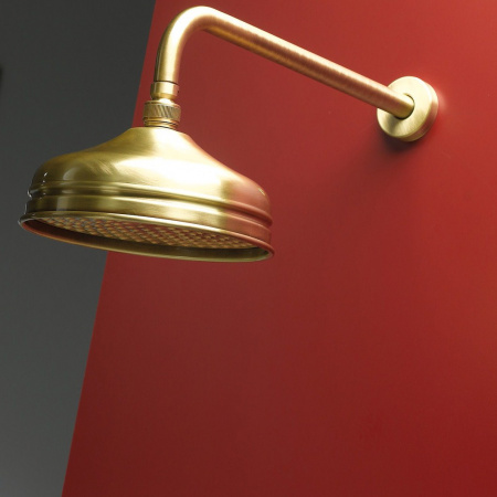   Webert Karenina AC0014065 