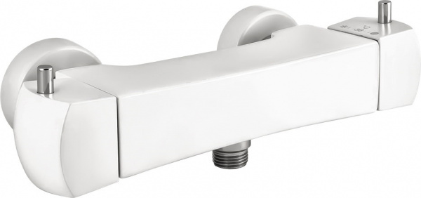  Paini Lady 89BY511TH  