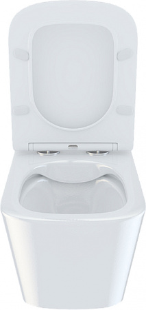 ������ ��������� IDDIS Bild BILRDSEi25 ������� � �����������