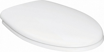 ������-������� Sanindusa Cetus � �����������