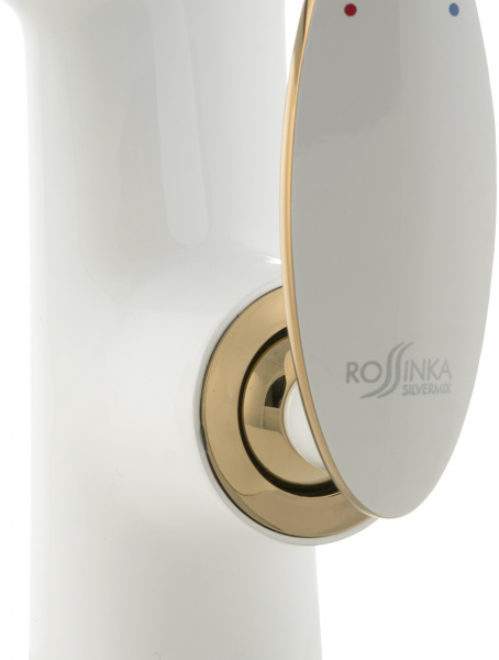  Rossinka RS30-11W  ,   