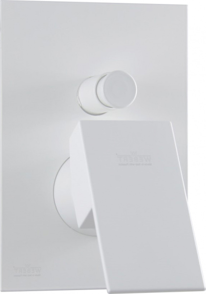  Webert Pegaso PE860101740   ,    , 