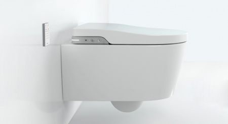 ��������  ������� ����������� ��� �������� Roca DUPLO WC 890090020 + ������ ��������� Roca Inspira in-wash + ������ ����� Roca PL1 Dual ����