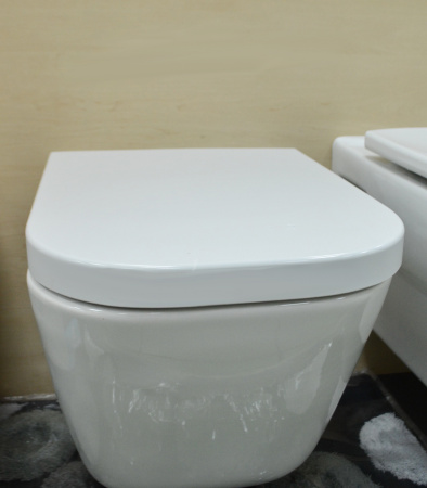 �������� Roca Gap 893104100 ��������� ������ + ����������� + ������