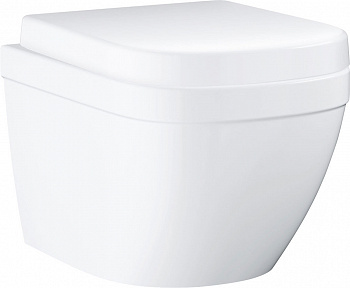 ������ ��������� Grohe Euro Ceramic 3920600 ����������