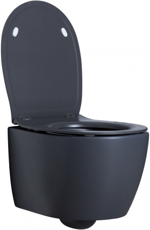 Унитаз подвесной Allen Brau Fantasy 4.11004.AN антрацит Унитаз подвесной Allen Brau Fantasy 4.11004.AN антрацит