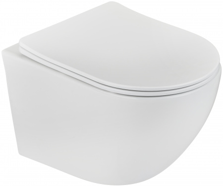 Унитаз подвесной TEKA Manacor 117320002 rimless с микролифтом Унитаз подвесной TEKA Manacor 117320002 rimless с микролифтом