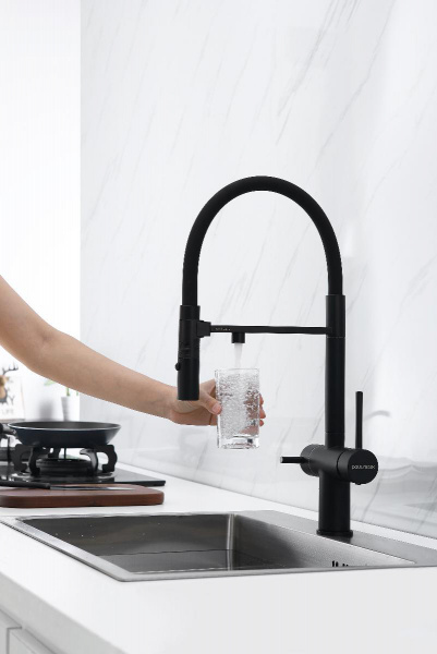  Paulmark Magneto Ma213118-401   , PVD 