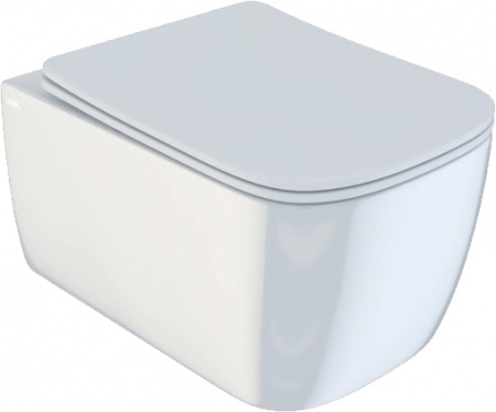 ������ ��������� IDDIS Bridge BRIRDSEi25 ������� � �����������